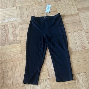 NWT SNDYS Skinny Black Pants